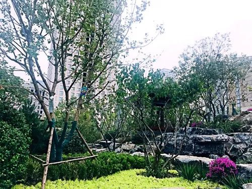 精工筑園 情景交融——天津譽(yù)峰園示范區(qū)園林景觀工程解析