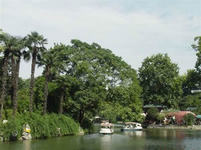 武漢建設網-中山公園 風景園林建設工程的典范