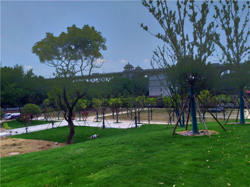 洗馬長街景觀工程加快建設 武漢園林力爭早日建成這座公園