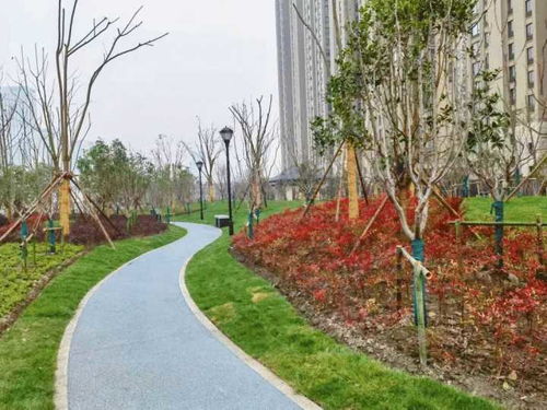 杭州新添社區公園 濱康綜合體南綠地景觀提升工程全面完工